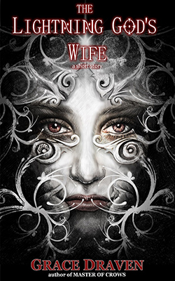 The Lightning God's Wife book cover image
